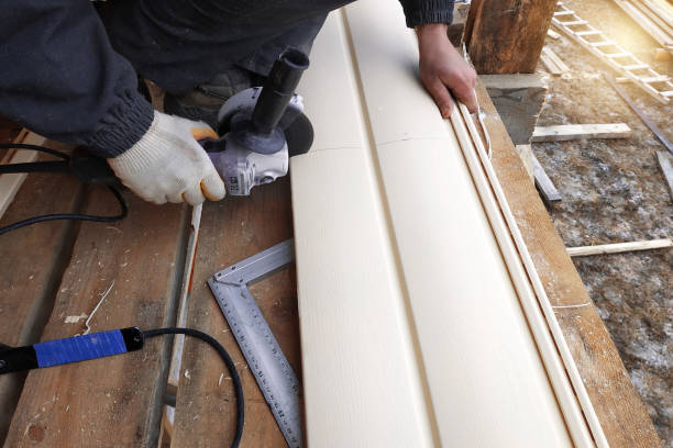Best Custom Siding Design  in Celebration, FL