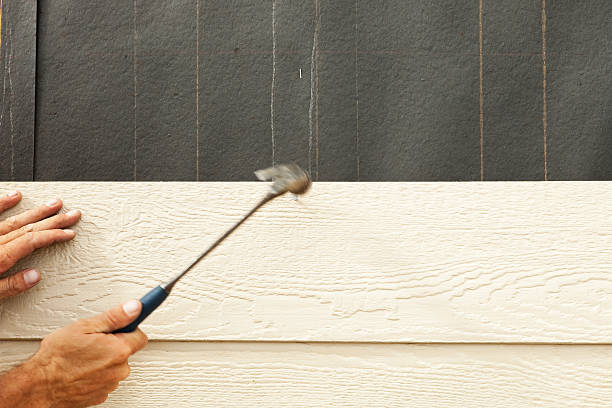 Best Steel Siding Installation  in Celebration, FL